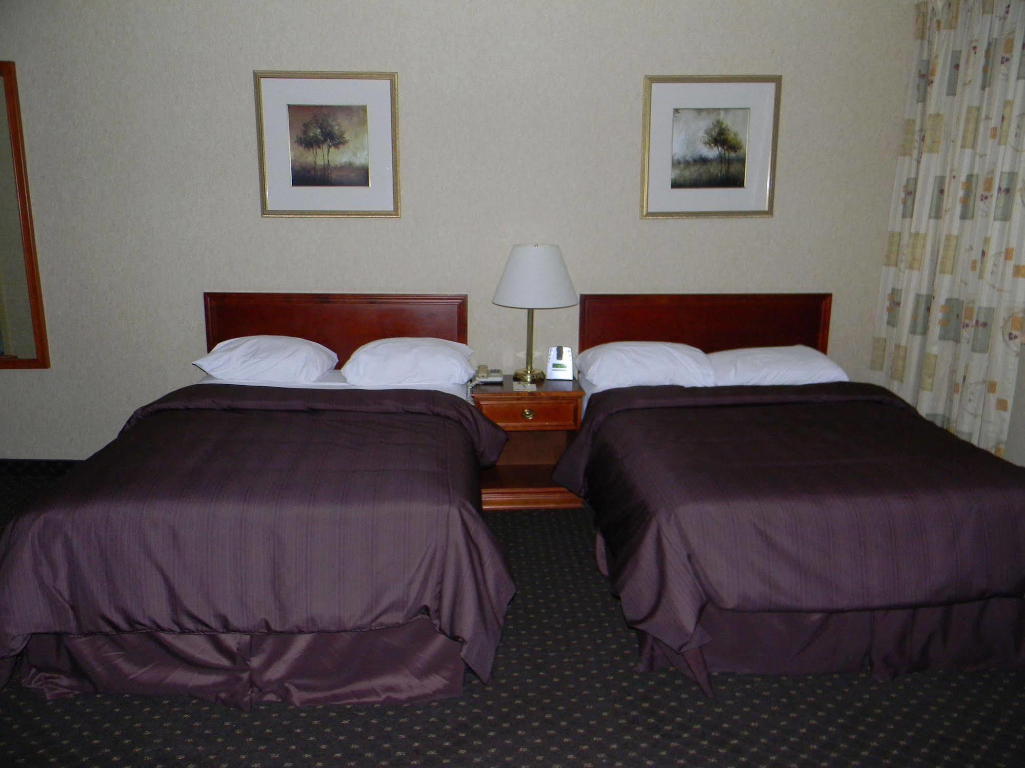 Clarion 3*